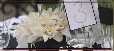 Horn & Phillips - co-ordinating your special wedding day!